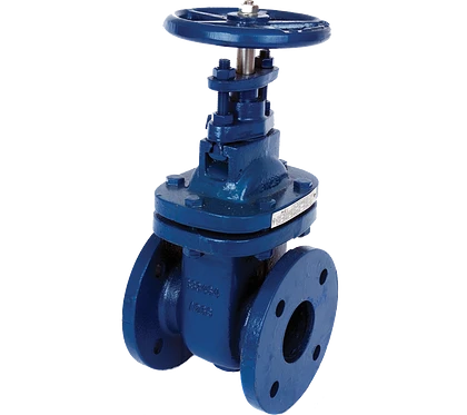 ART210 TABLE E CAST IRON GATE VALVE BS3464